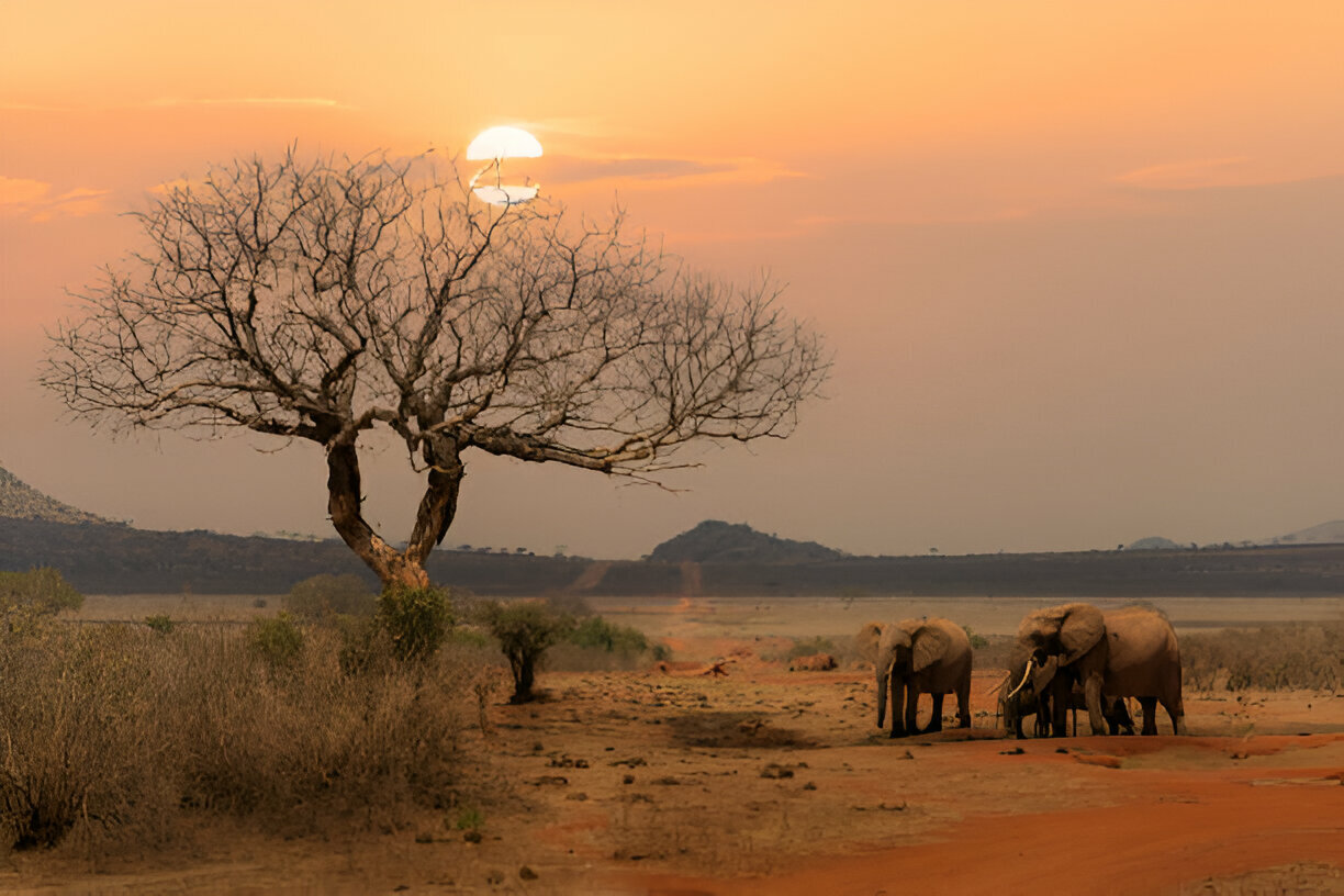 Kenya Classic Safari: Amboseli, Naivasha, Nakuru & Masai Mara